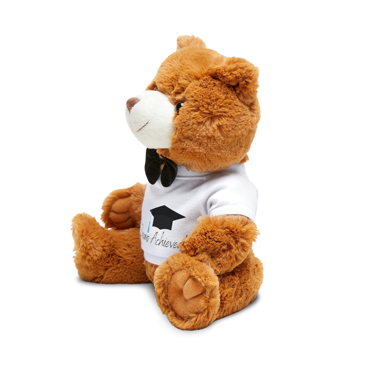 Dreams Achieved Teddy Bear